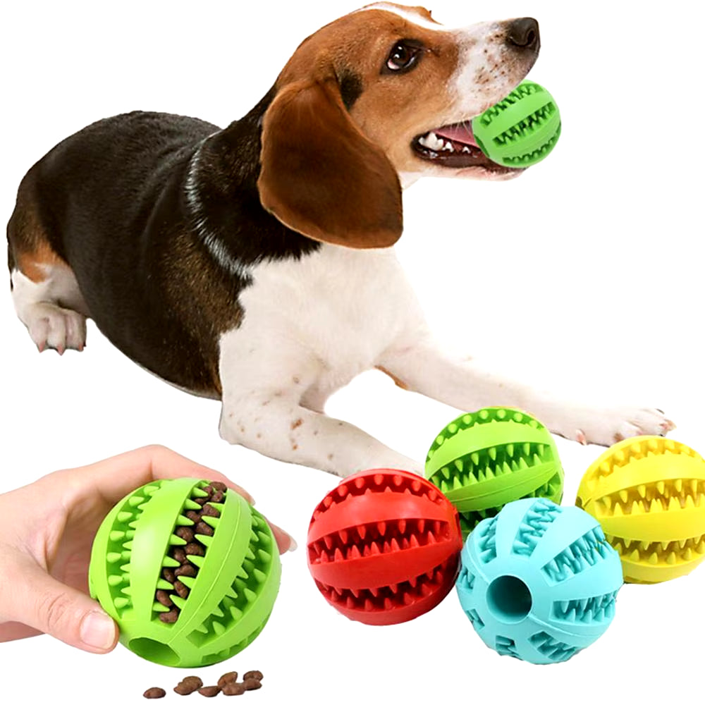 Pet Interactive Rubber Ball