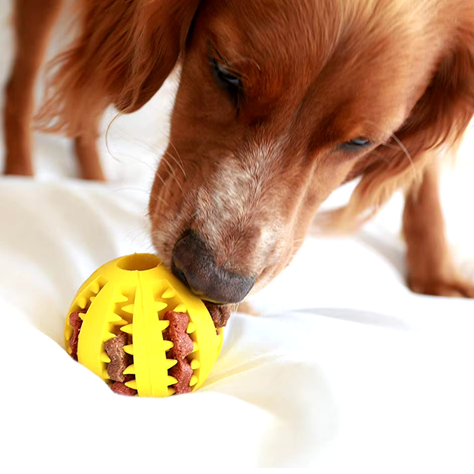 Pet Interactive Rubber Ball